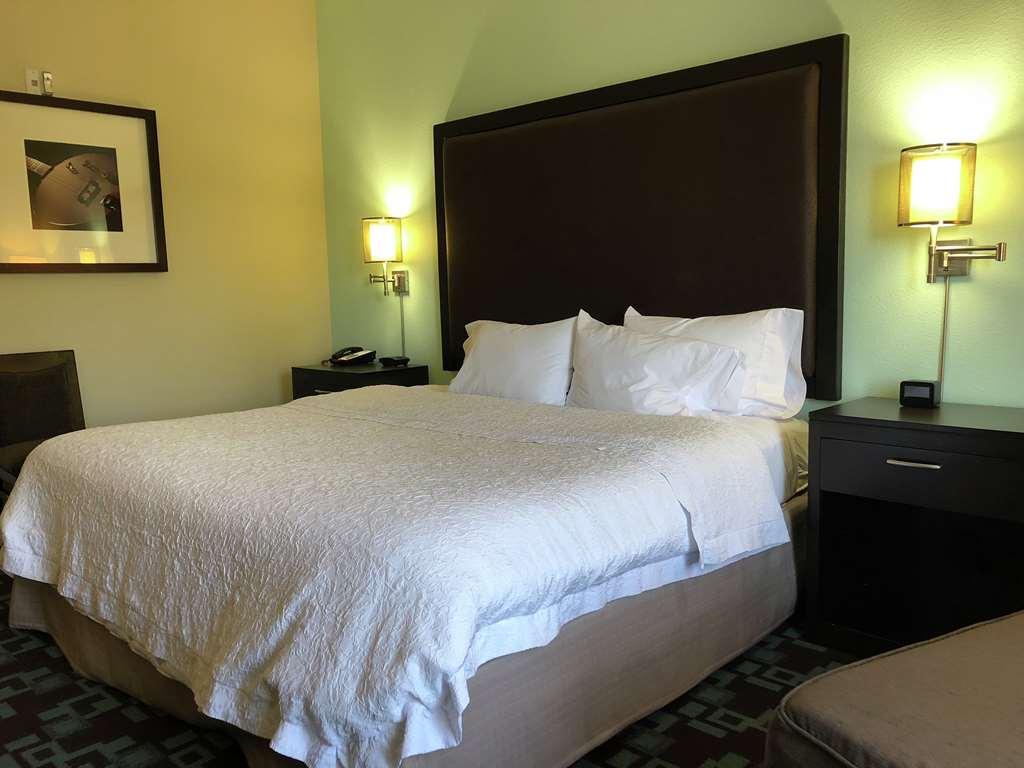 Hampton Inn&Suites Nashville at Opryland Værelse billede